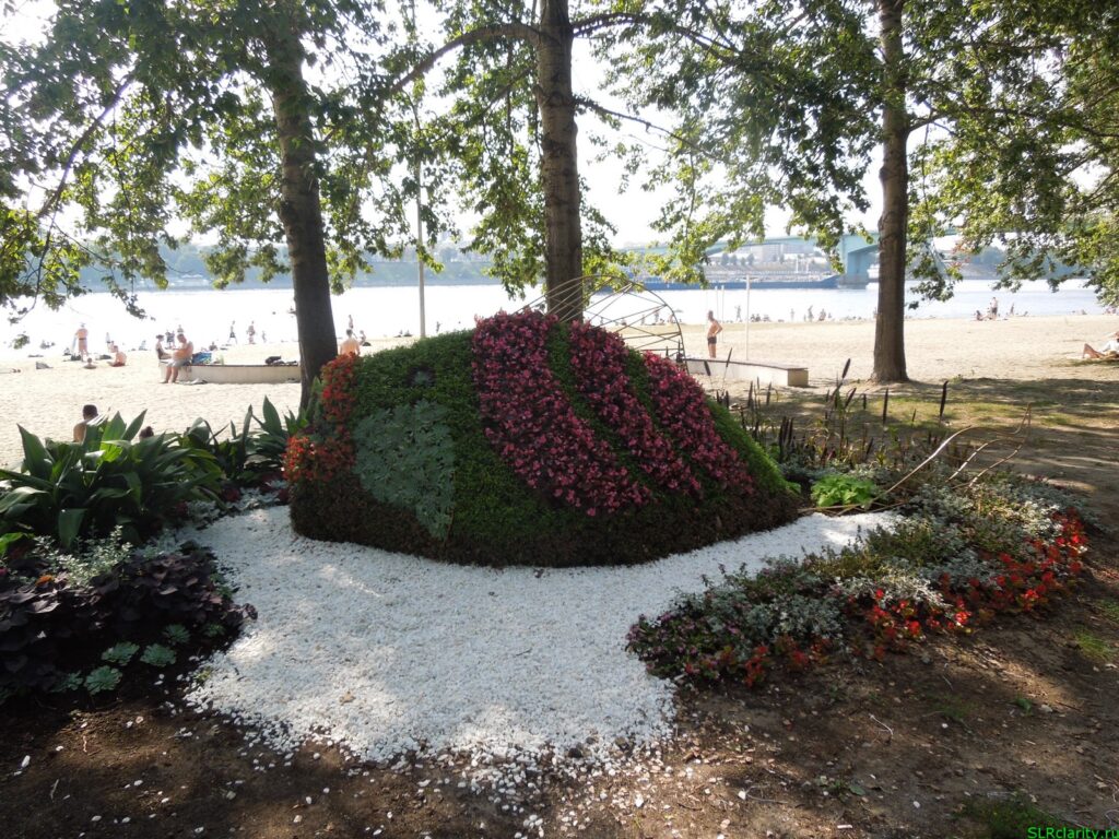 Клумба