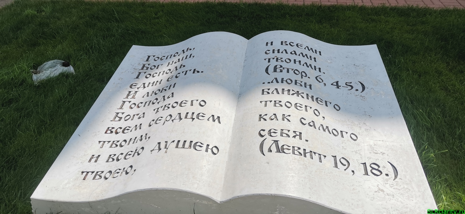 Экспозиция книга